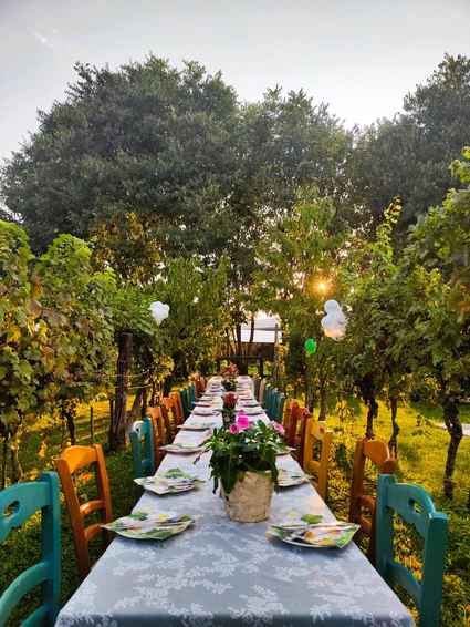 Cena in vigneto in una cascina dell’800 nell’entroterra del Lago di Garda